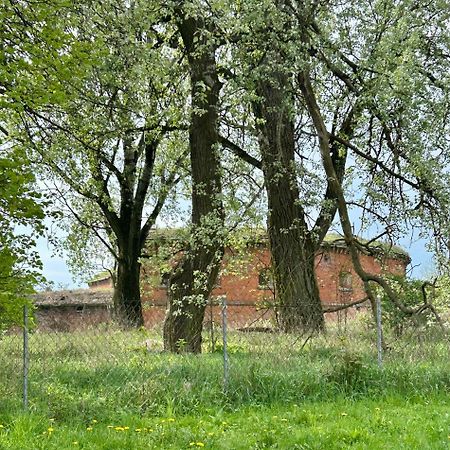 Studio Modlin Nowy Dwór Mazowiecki Εξωτερικό φωτογραφία