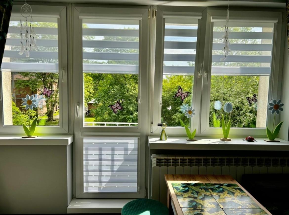 Studio Modlin Nowy Dwór Mazowiecki Εξωτερικό φωτογραφία